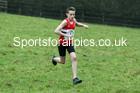 Boys under-13s, NECAA Junior Cross Country Relays, Thornley Farm, Peterlee, Saturday, December 12th. Photo: David T. Hewitson/Sports for All Pics